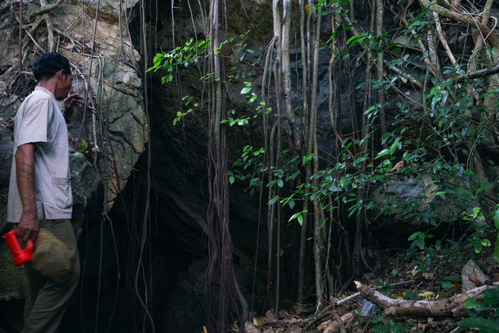 A person stands at a dark cave entrance surrounded by hanging tree roots and dense foliage in a jungle setting in Kampot, Cambodia