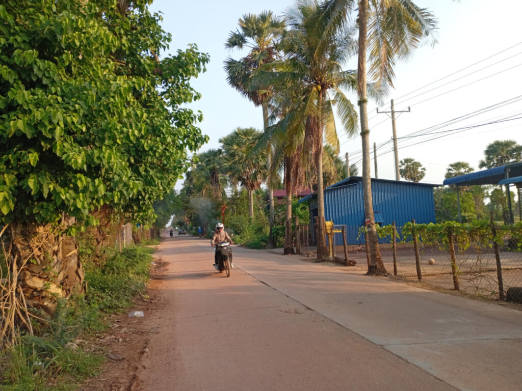 A sunny dirt road in rural Kampot, Cambodia, lined with trees and palm trees, with a person on a scooter riding down the center.