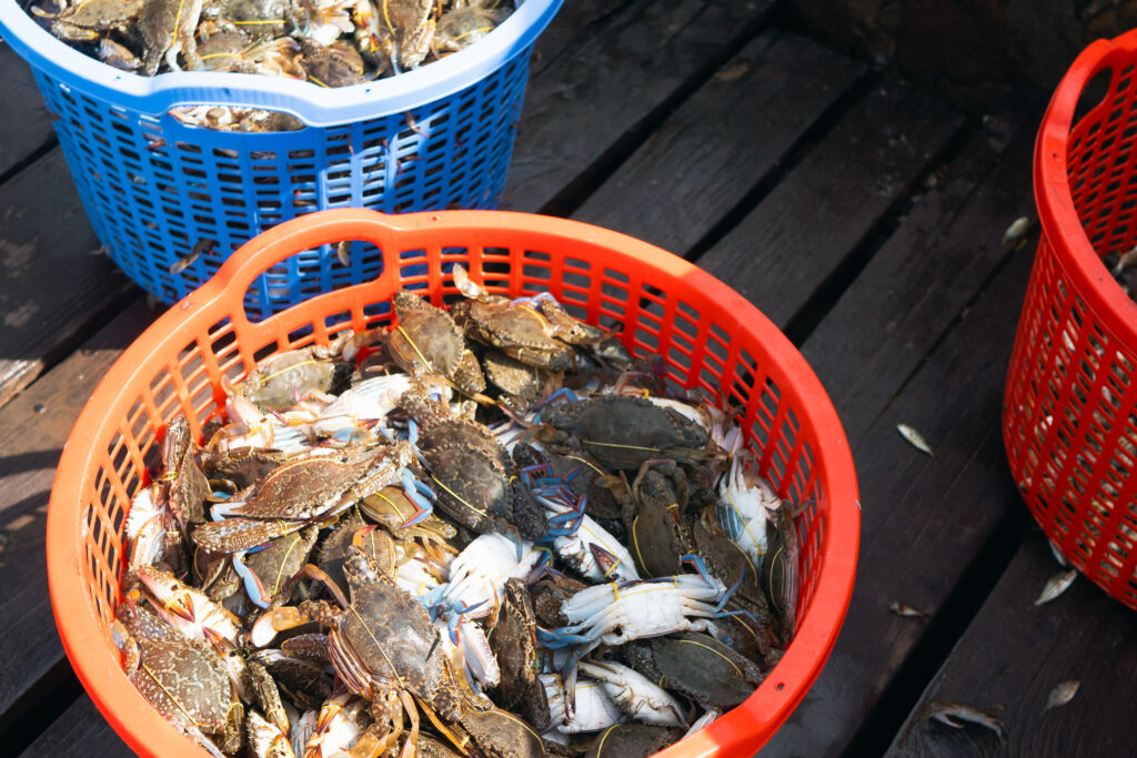 Two baskets of fresh crabs