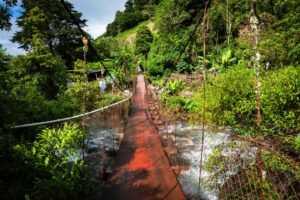 A bridge at a hiking trail in Boquete, Panama.