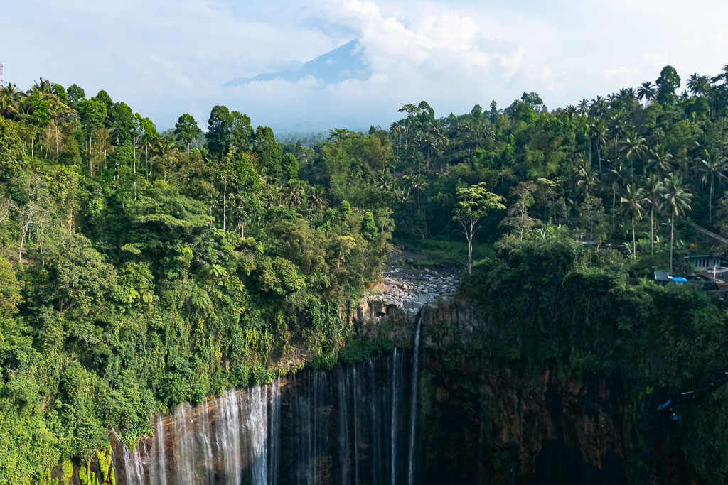 aerial view of Tumpak Sewu waterfall, where multiple cascades plunge down a massive, U-shaped cliff