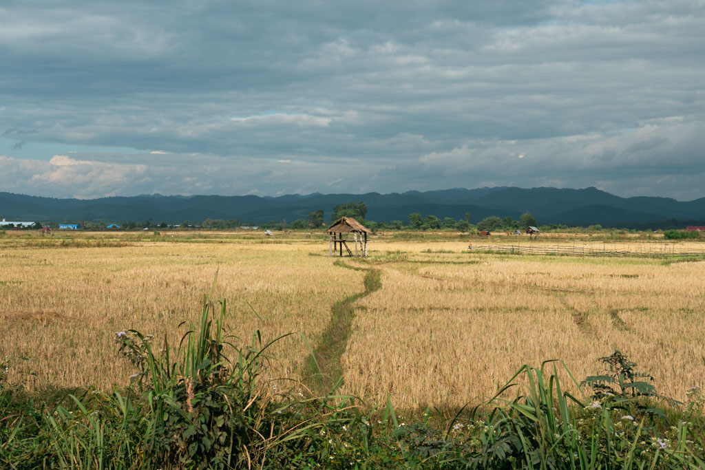 Fields in Laos.