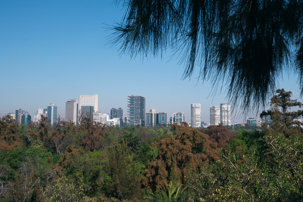 A panoramic view of the Mexico City skyline, seen over a dense canopy of trees in Chapultepec Park