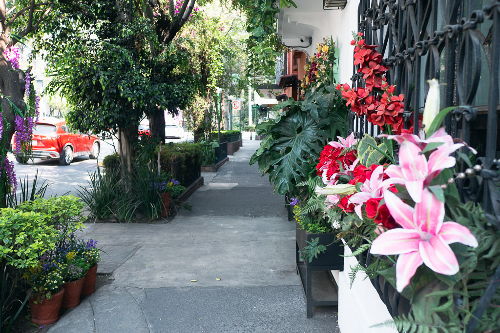 Flower-lined streets in Roma, Mexico city