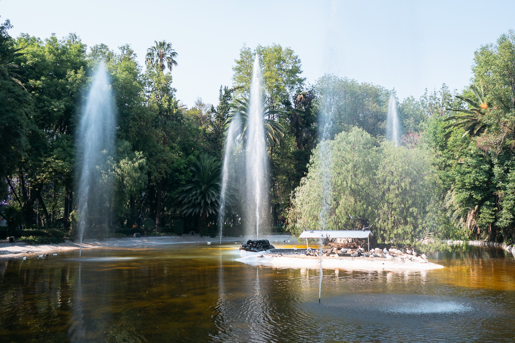 The Lago del Parque México in the Condesa neighborhood
