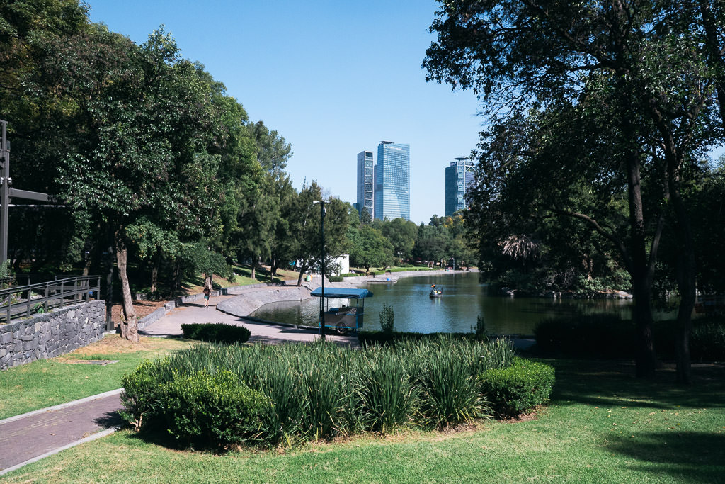 View of Chapultepec Park, Mexico City showcasing a serene lake surrounded by lush green trees and manicured lawns