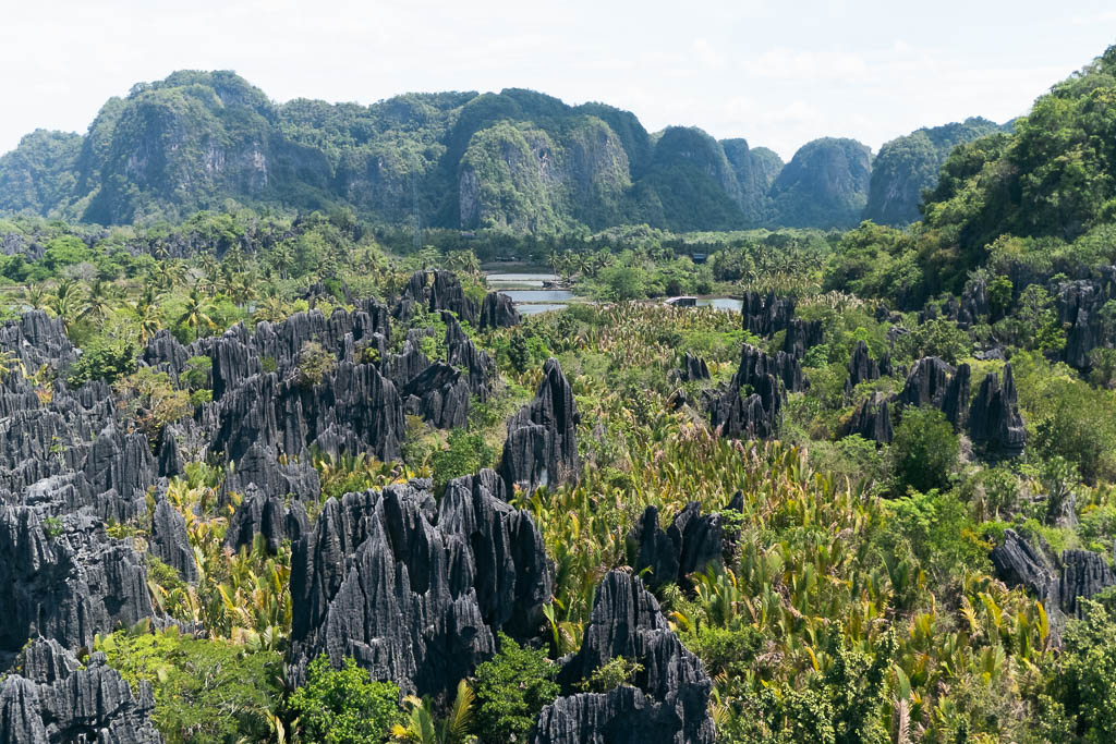 Jagged limestone karsts rise from green plains and ponds in Rammang-Rammang, with forested mountains in the background.
