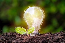 photo of a glowing lightbulb and some leaves