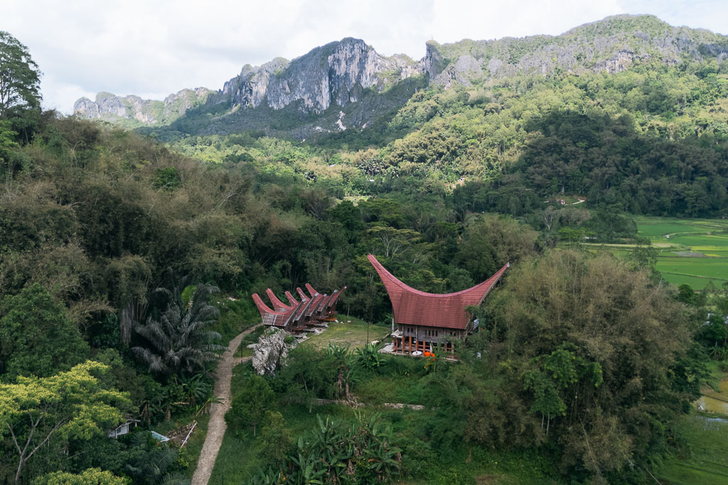 Tongkonan houses with curved, boat-shaped roofs nestled among lush green forest and rice fields in Tana Toraja, South Sulawesi