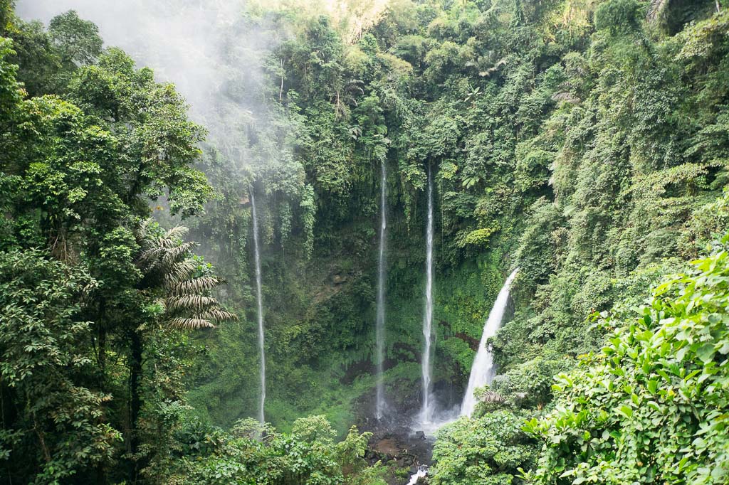 A lush green jungle in Tomohon, Indonesia, dominated by waterfalls cascading down a steep, verdant cliff face
