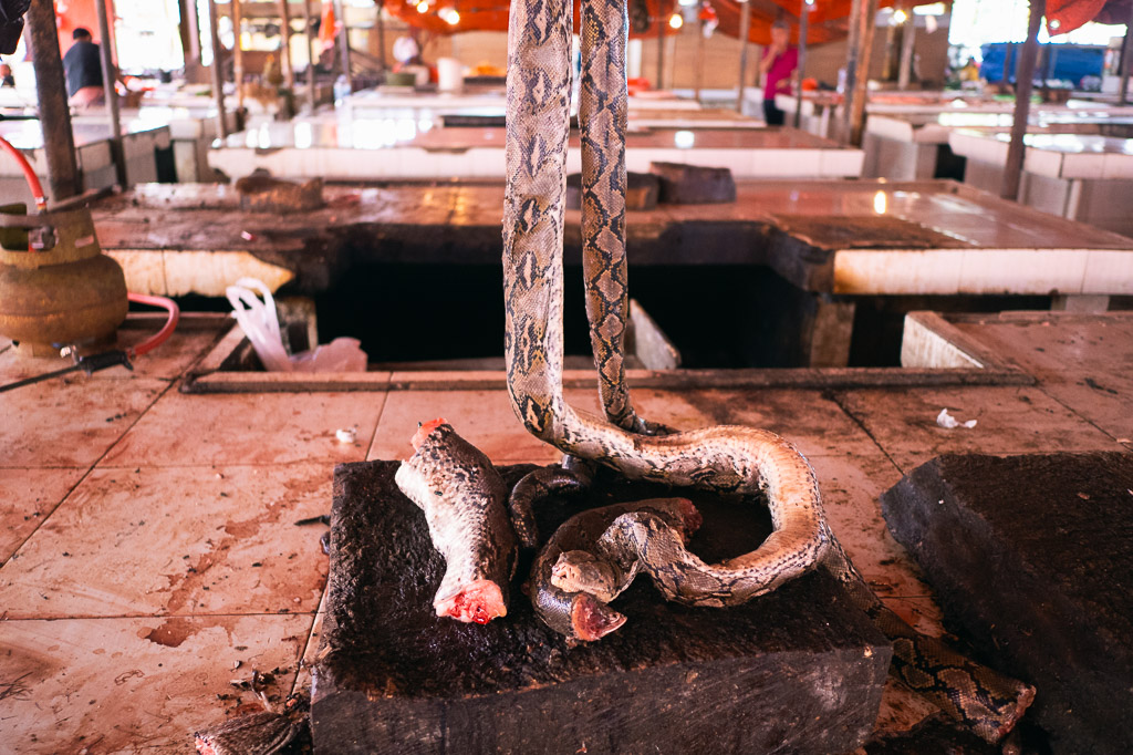 A large, gutted snake hanging from above in Tomohon Extreme Market, Sulawesi